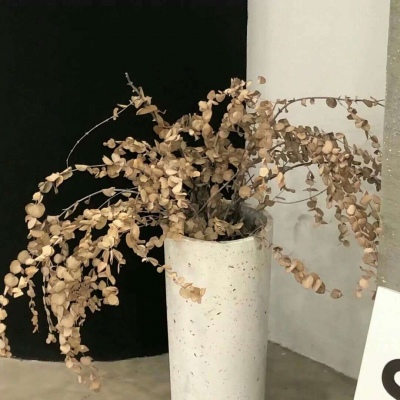 喜德FurryQQ群介绍